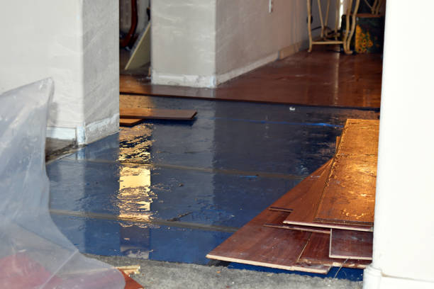 Professional Flood Damage Repair technician working in Lincoln Park, MI